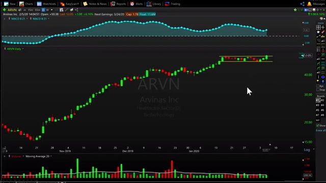 Stock Market Swing Trade Ideas 2-5-20 DHI PFSI ARVN ALNY смотреть онлайн