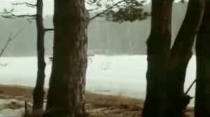 Джемма Халид - Ямщик не гони лошадей