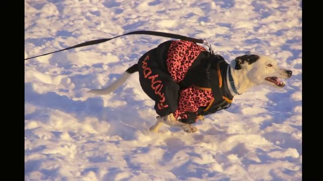 -20 жара ОЦССС смотреть онлайн