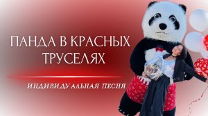 MusicalCatharsis — ПАНДА В КРАСНЫХ ТРУСЕЛЯХ [Official Video]