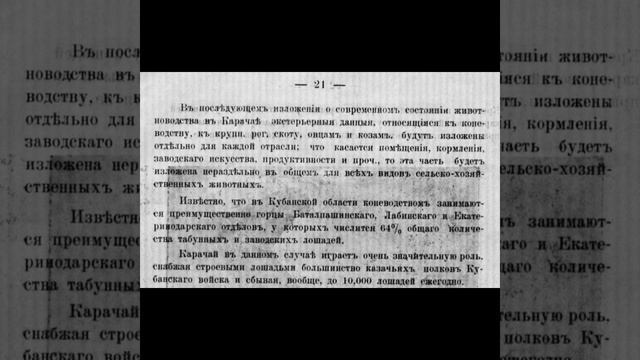 Карачаевская порода лошадей документ 1913 года. смотреть онлайн