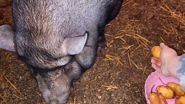перестаньте за меня решать и экономить мои деньги! смотреть онлайн