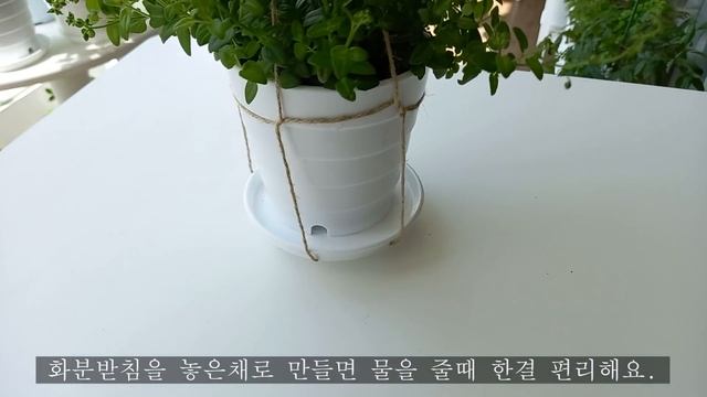 헹잉식물로 베란다정원 꾸미기🌿/더욱 풍성해진 4월의 정원🌳 смотреть онлайн