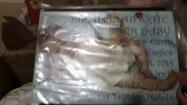 Gertie Box Opening смотреть онлайн