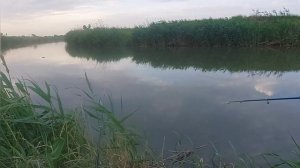 рыбалка на дгк х Лебеди