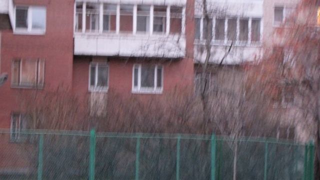 Сосны нельзя забыть смотреть онлайн