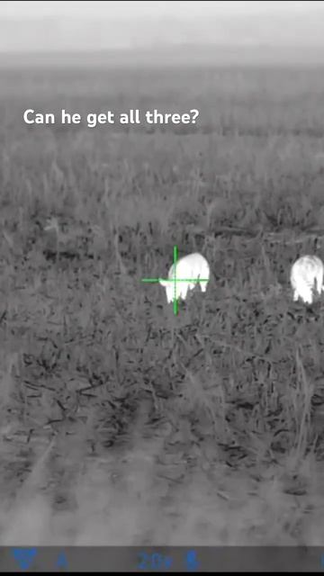 That’s a turkey смотреть онлайн