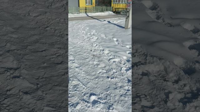 09.02.2025. Весна на нашей улице.