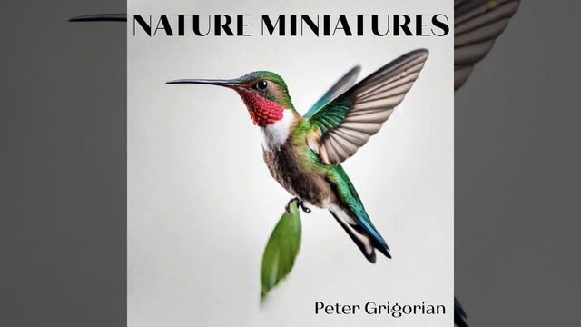 Morning Colibri смотреть онлайн