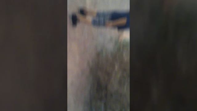 Skerd смотреть онлайн