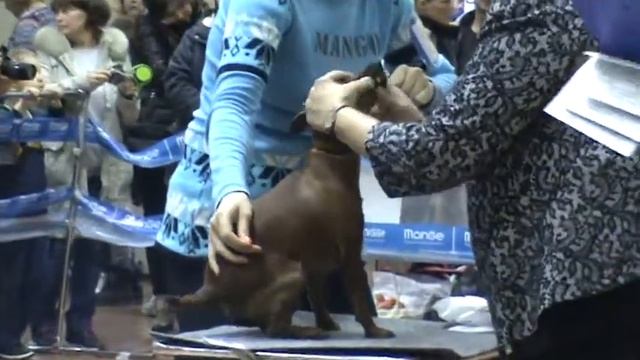 M2U00493 смотреть онлайн