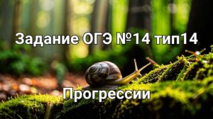 Задание ОГЭ №14 тип14 прогрессии