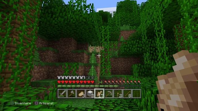 Minecraft: PlayStation®4 Edition_ Apprivoiser un ocelot. смотреть онлайн