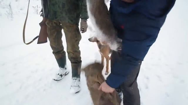 Охота на зайца Январь смотреть онлайн