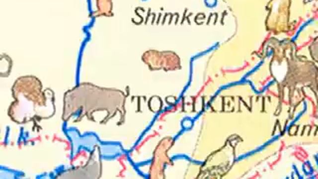 O’rta Osiyo Va O’zbekiston Hayvonot Dunyosi