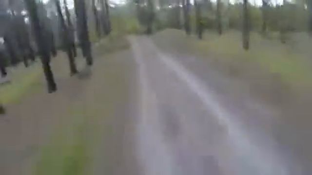 Наподение медведя на человека смотреть онлайн