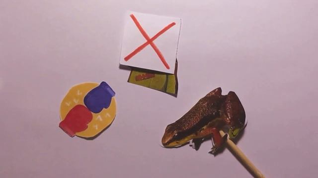 Vídeos dos ALUNOS: O sapinho flecha do Nordeste: Allobates alagoanus смотреть онлайн