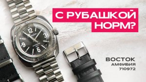 Стильно и сдержанно | Восток Амфибия 710972