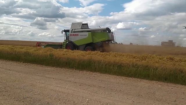Уборка озимого ячменя 2022#farmingsimulator #уборкаячменя#2022 смотреть онлайн