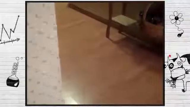 О чем думают животные смотреть онлайн