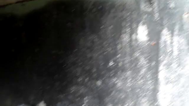 Lady Bug Infestation, Betcha never seen more at one time!!! смотреть онлайн