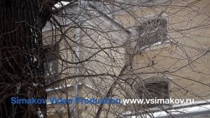 Документальный фильм "Папа, здравствуй..."