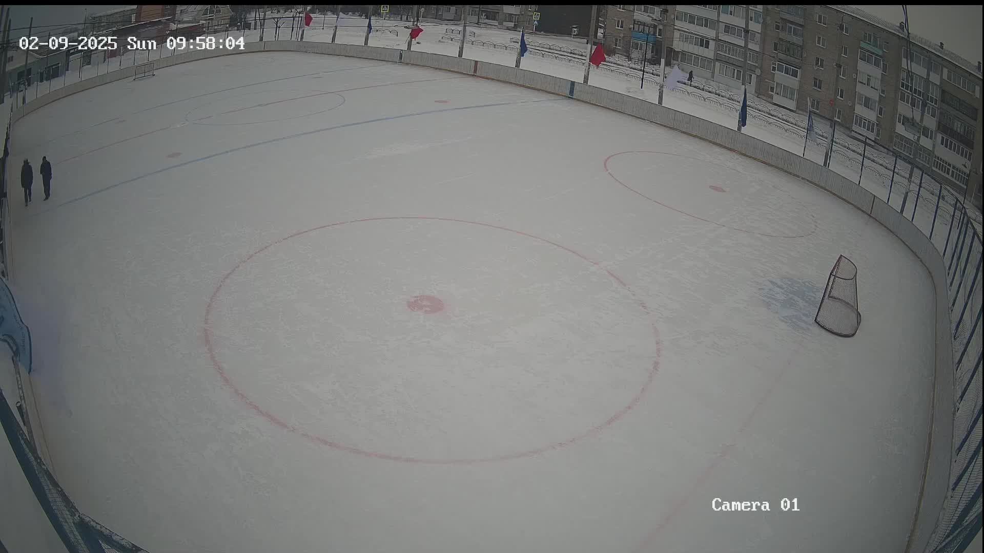 Кристалл 09.02.2025