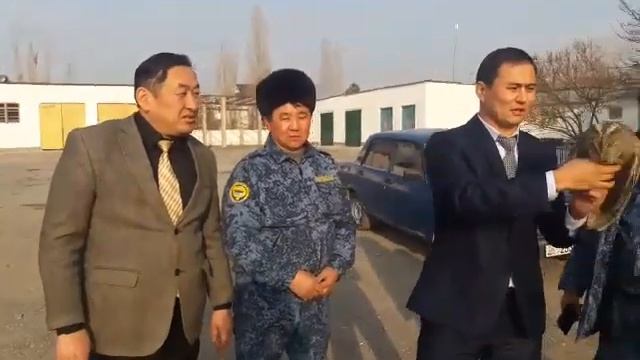 Мыйзамсыз кармалган үкү табылып, жараталышка кое берилди смотреть онлайн