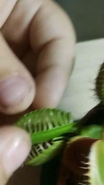 3 сентября 2022 г. смотреть онлайн