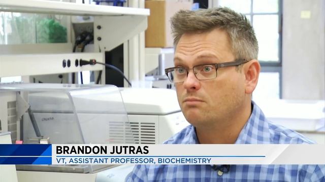 Researchers make breakthrough that could lead to Lyme disease cure смотреть онлайн