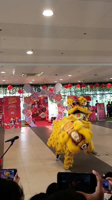 Chinese New Year 2023 Lion Dance #liondance #shorts #chinesenewyear #newyear #chinese #asmr смотреть онлайн