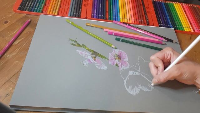 How to Draw Almond Blossom with Colour Pencils Step by Step Tutorial For Beginners смотреть онлайн