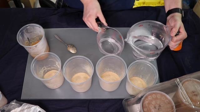 How to culture flightless fruit flies as food! смотреть онлайн