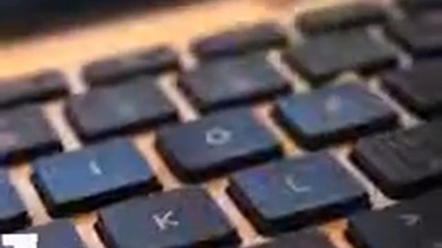Умные насекомые !!!! смотреть онлайн