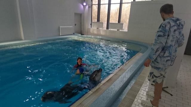 Дельфиния смотреть онлайн