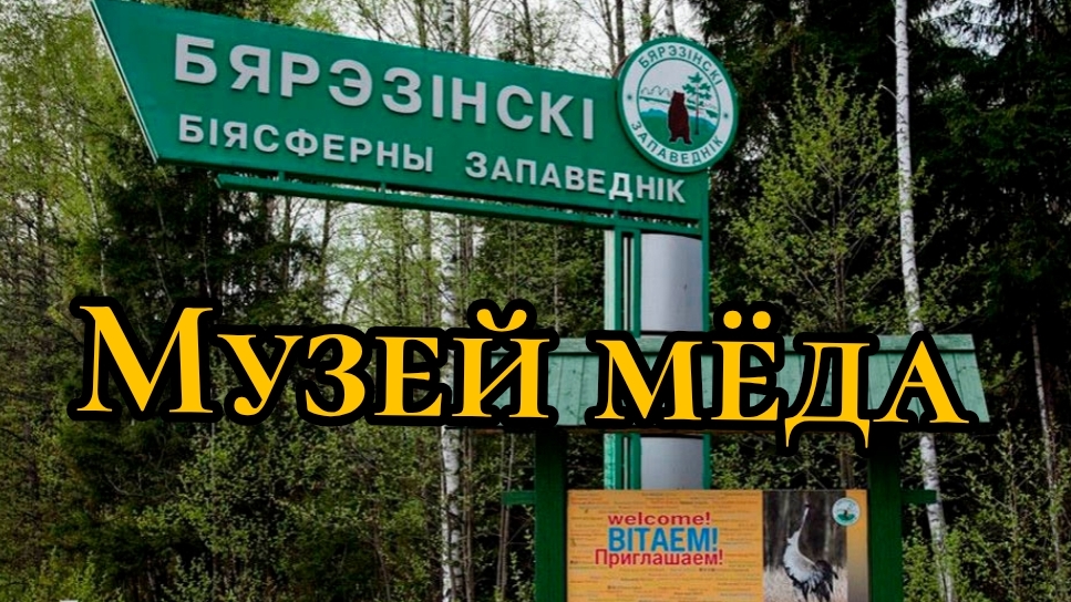 Музей мёда. Березинский заповедник.(Беларусь)