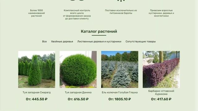 Видео предоставлено ОТК смотреть онлайн