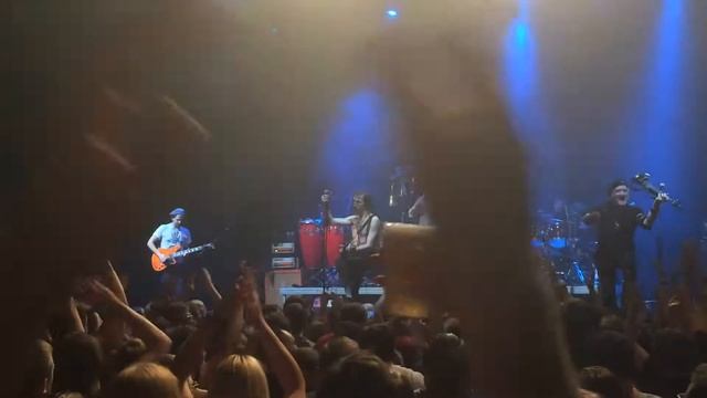 Pala Tute - Gogol Bordello live in Latvia, Riga, 20.05.2018. смотреть онлайн