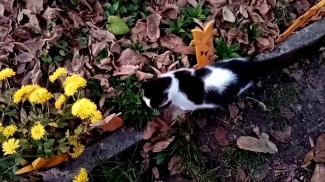 Ура я дома. смотреть онлайн