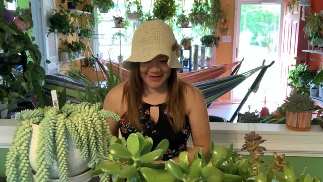 #Tag#7Suculentas#RetoCreadordecontenido🪴🌱🌵#plantas смотреть онлайн