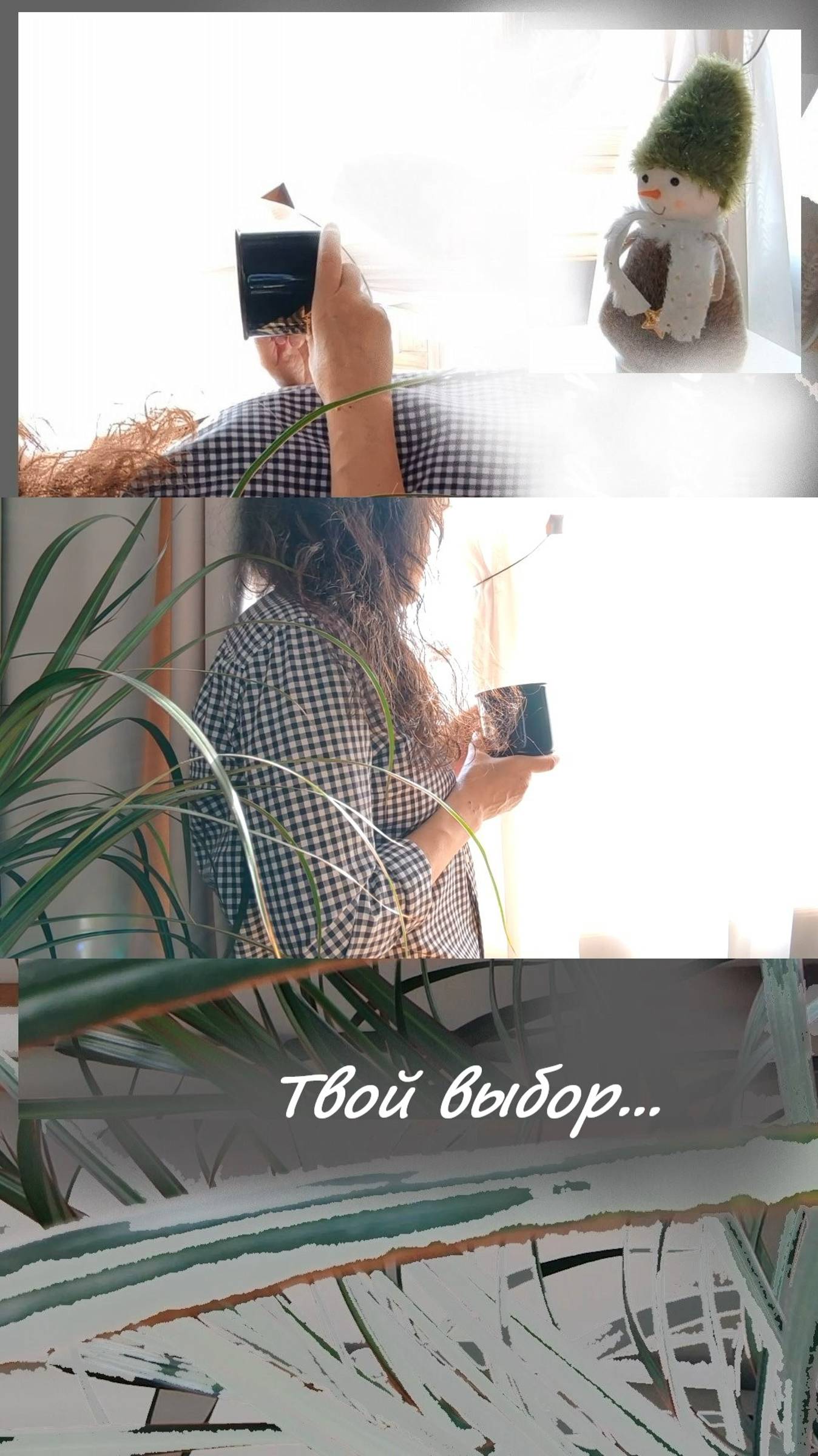 Противостояние, проявленное в реальности... #shorts смотреть онлайн