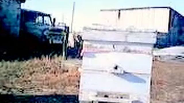 подкормка пчел поздняя смотреть онлайн