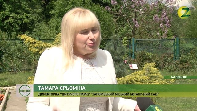 Новини Z - У Запорізькомй ботсаду зацвіла патріотична квітка - 10.05.2019 смотреть онлайн
