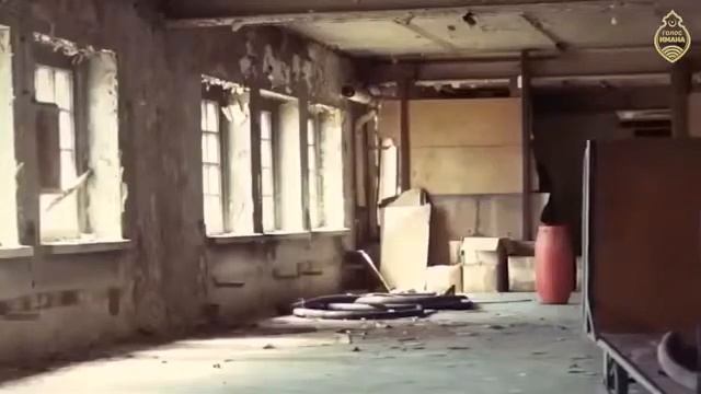 Растения для уютного дома