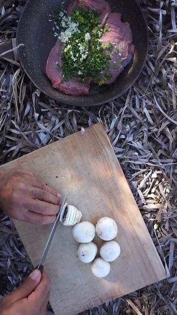 Outdoor cooking adventures. We found a turtle #shorts смотреть онлайн