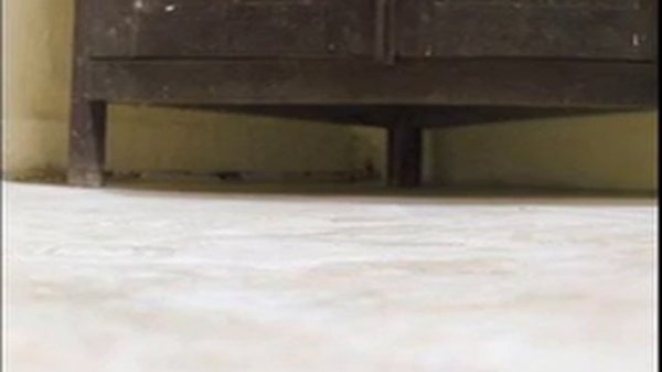 «Changing room» 2012/13