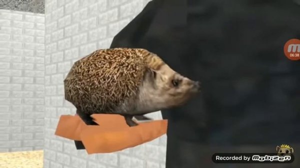 Ной на канале ноя