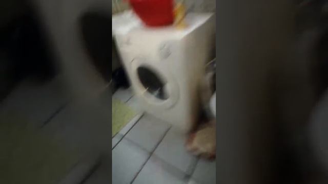 Глеб гаварит то што я в трусах смотреть онлайн