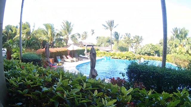 VILLAGE COCONUT ZorgThailand#27. Territory смотреть онлайн