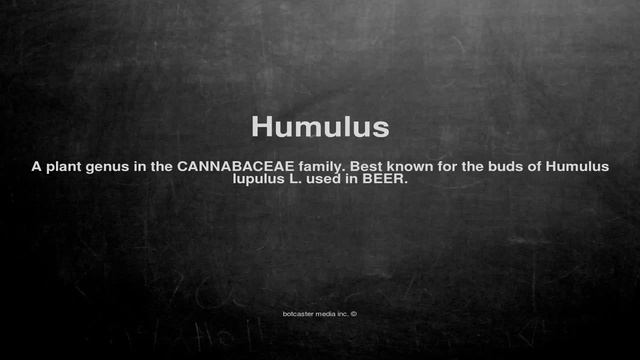 Medical vocabulary: What does Humulus mean смотреть онлайн